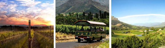 Winelands